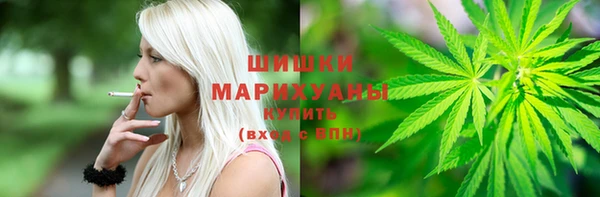 apvp Дмитриев