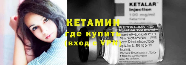 apvp Дмитриев