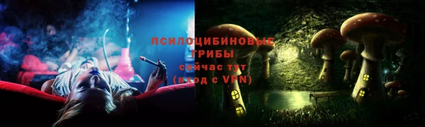 шишки Янаул