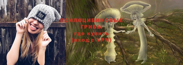 apvp Дмитриев