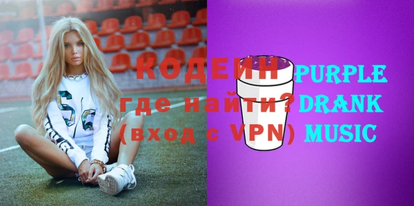 apvp Дмитриев