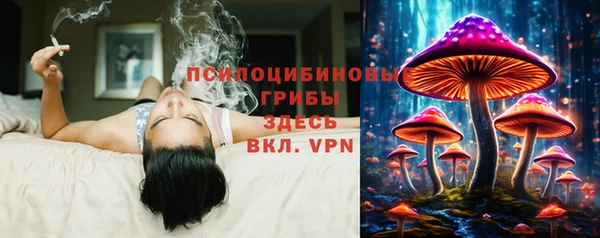 mix Дмитровск